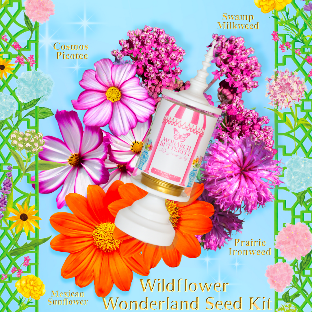Wildflower wonderland seed kit