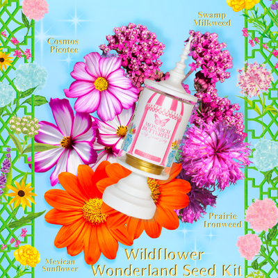 Wildflower wonderland seed kit