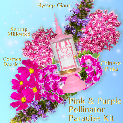 Pink & Purple Pollinator Paradise Kit