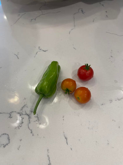 hope whoever ate all of our Brussel sprouts, tomatoes, and lettuce