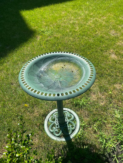 Does anyone know how to keep the green mildew out of the bird fountain?