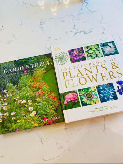 Frantz and I have been trying to figure out the layout of the previous garden