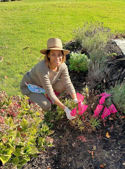 Collecting our milkweed pods today. 🧡🦋🧡