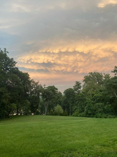 Here is a pic I took in front of the house last summer